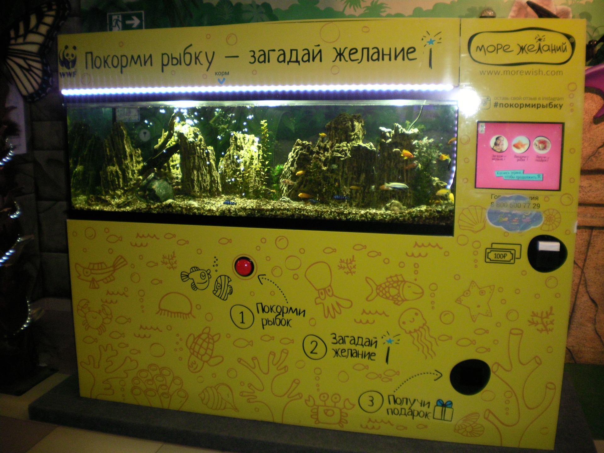 Перевозка автомат аквариум